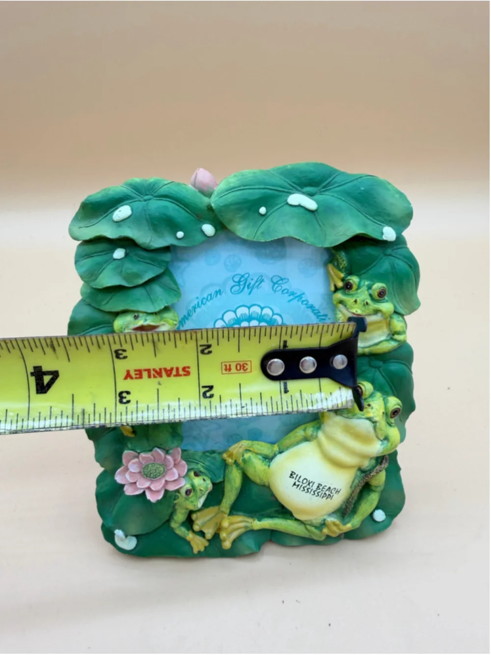 American Gift Corp Prestige Collection Biloxi Beach Frog Lily Pad Photo Frame